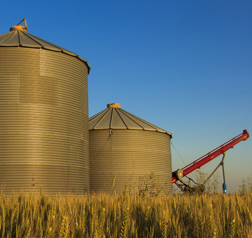 Silos and Auger